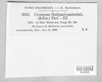 Image Associated With the Occurence